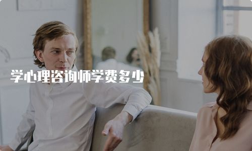 心理咨詢師培訓(xùn)學(xué)費解析 以“挽情心理咨詢”為例